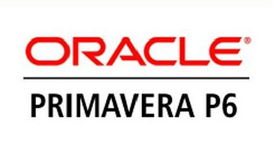 primavera p6